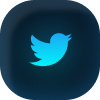 twitter-icon